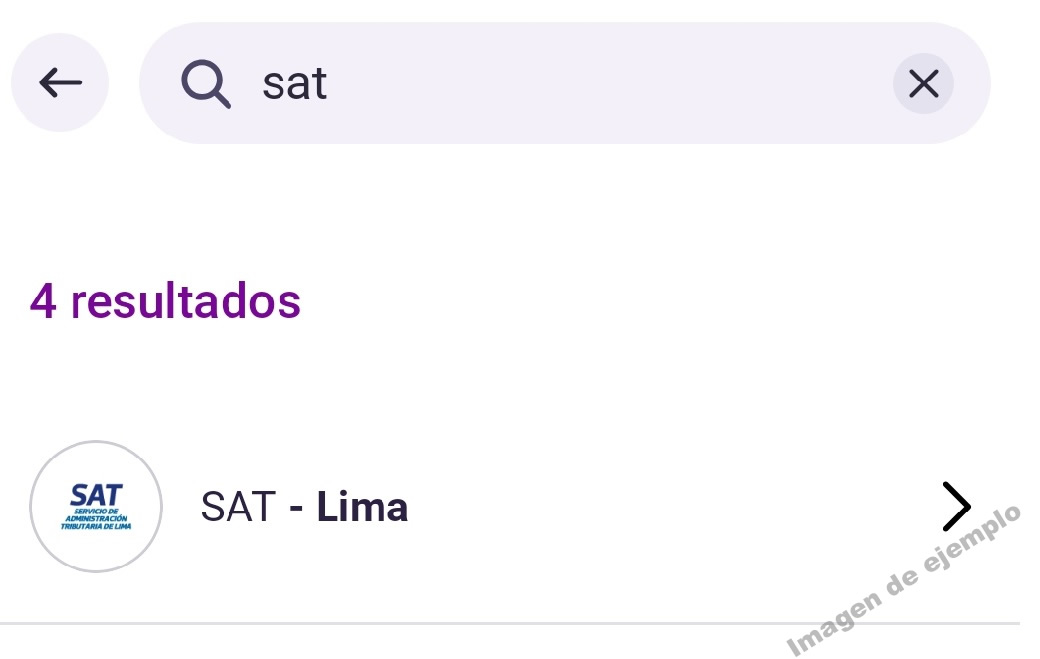 En el cuadro de búsqueda escribe SAT