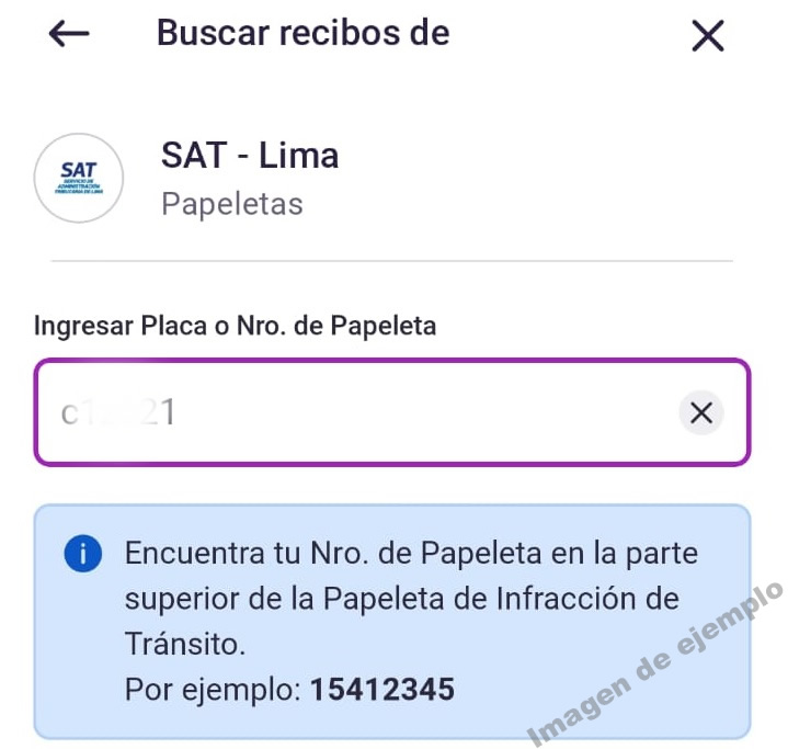 Digita la placa del vehículo