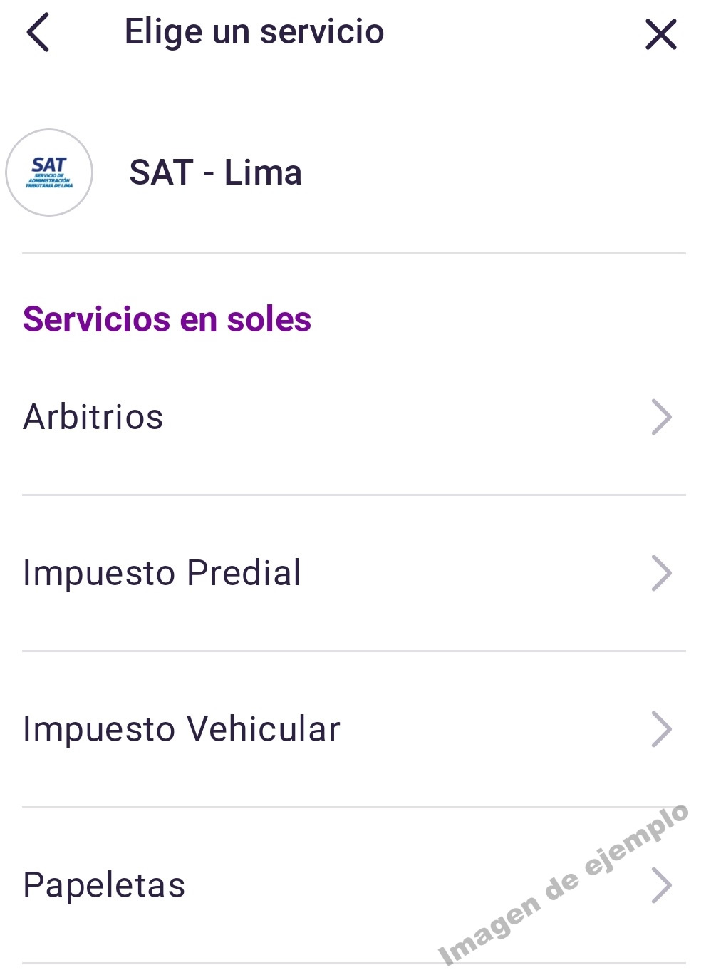 selecciona la opción Papeletas