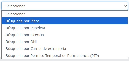 Búsqueda por Placa